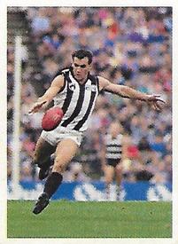 1991 Select AFL Stickers #67 Darren Millane Front